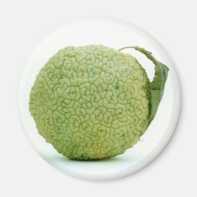 Aimant Big Green Hedgeapple (Devant)