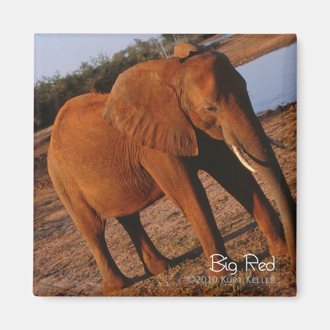 Aimant Big Red (Devant)