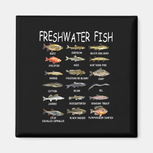 Aimant Biologie des espèces de poissons Types de poissons