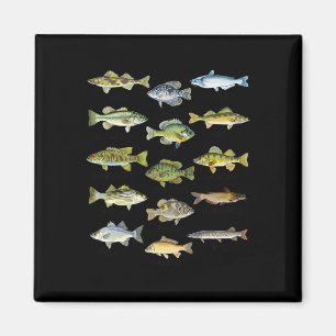 Aimant Biologie des espèces de poissons Types de poissons