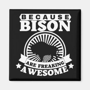 AIMANT BISON