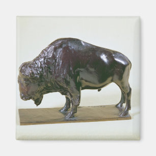 Aimant Bison, 1907