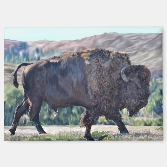 Aimant Bison d'Amérique errant dans un cadre de prairie (Recto)