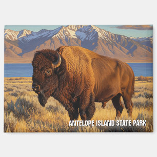Aimant Bison dans le parc national d'Antelope Island dans