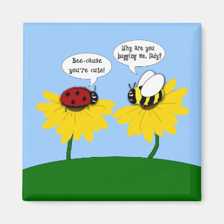 Aimant Bizarre de Ladybug et Abeille de bosse