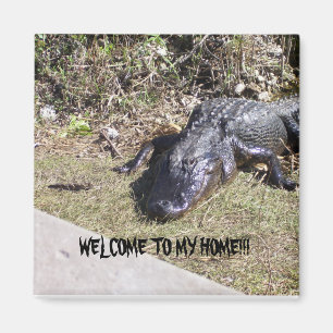 Aimant Black Alligator vous souhaite la bienvenue chez lu