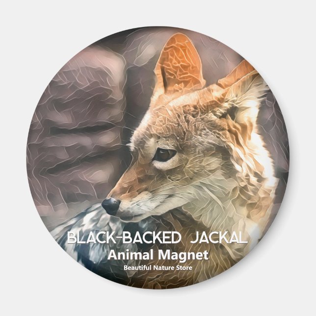 Aimant Black-backed Jackal (Devant)