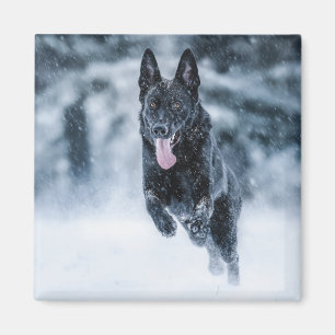 Aimant Black German Shepherd in snow Duvet Cover