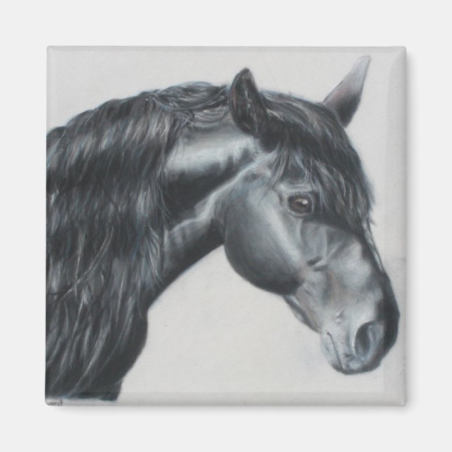 Aimant Black horse head stallion (Devant)