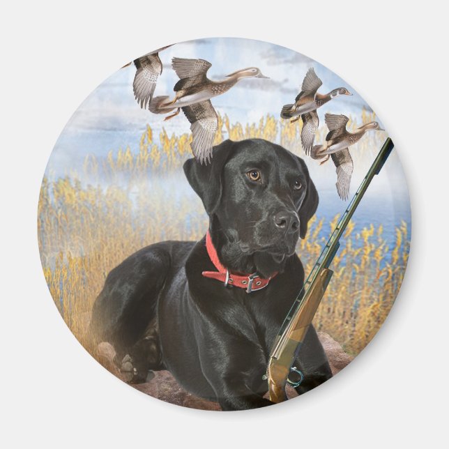 Aimant Black Lab chasse l'aimant (Devant)
