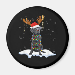 Aimant Black Lab Labrador Christmas Tree Light Pyjama Chi