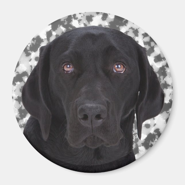 Aimant Black Labrador Retriever (Devant)