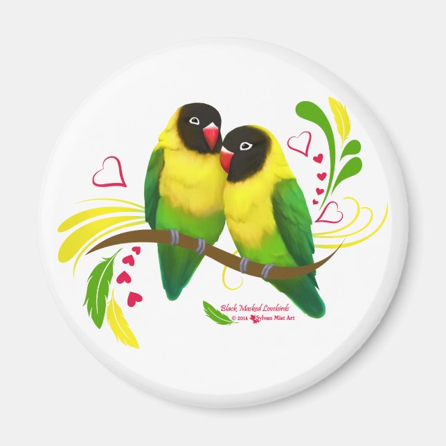 Aimant Black Masked Lovebirds (Devant)