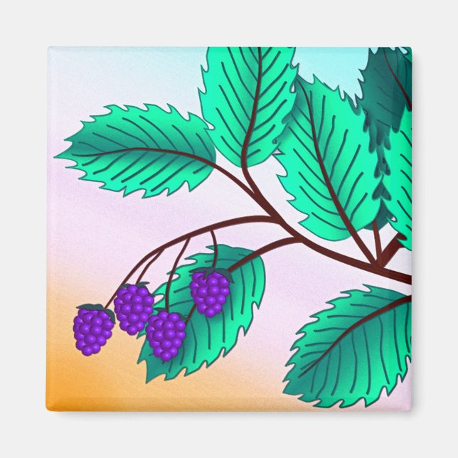 Aimant Blackberries sur une branche (Devant)