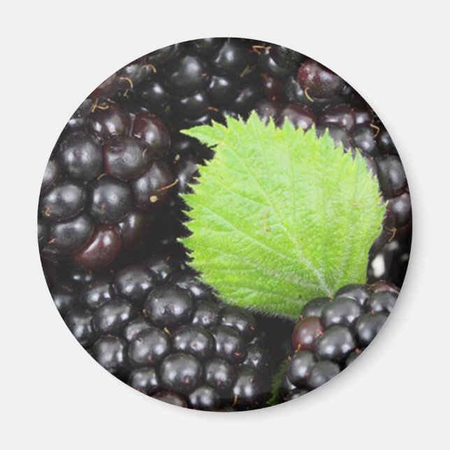 Aimant Blackberry (Devant)