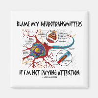 Blâmer mes neurotransmetteurs si ne pas prêter att