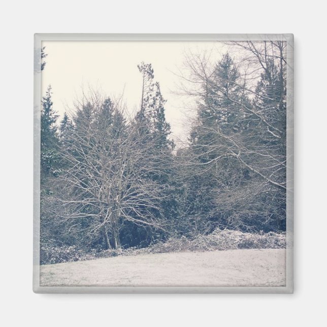 Aimant Blanc hiver (Devant)