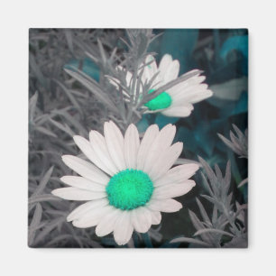 Aimant blanc marguerite (w vert)