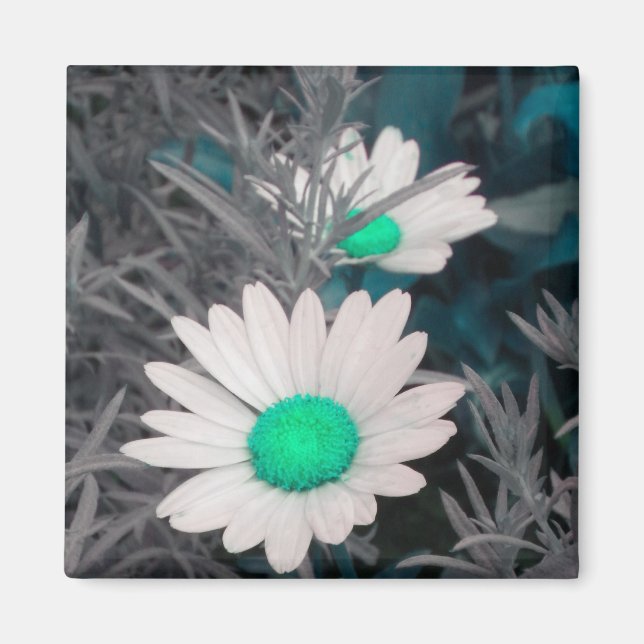 Aimant blanc marguerite (w vert) (Devant)