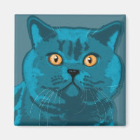 Aimant bleu chaton