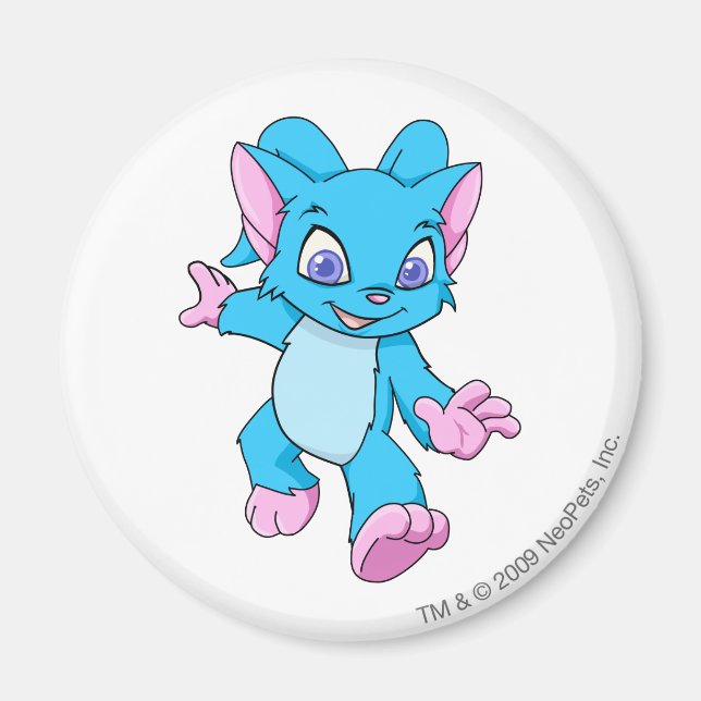 Aimant Bleu d'Acara (Devant)