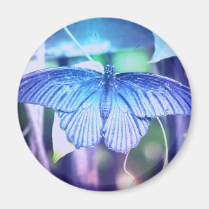 Aimant bleu de papillon