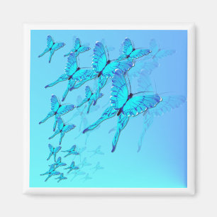 Aimant bleu de papillons