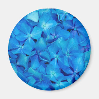 Aimant bleu Hydrangea