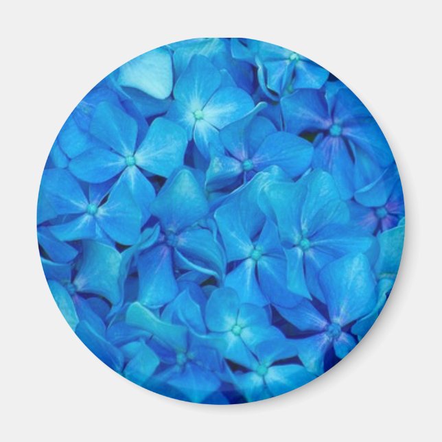Aimant bleu Hydrangea (Devant)