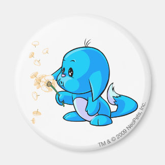 Aimant Bleu Kacheek