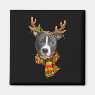 Aimant Bleu Nez Pitbull Reindeer de Noël Animaux Amoureux