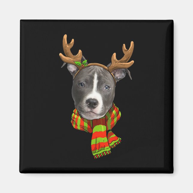 Aimant Bleu Nez Pitbull Reindeer de Noël Animaux Amoureux (Devant)