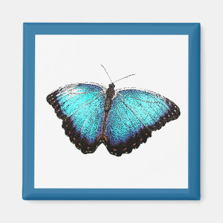 Aimant Bleu Papillon Nature Art, Belle Photo Illustration