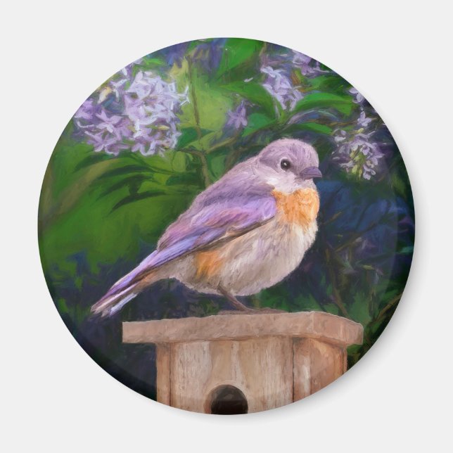 Aimant Bleuet de l'Est en neige - Photo originale (Devant)