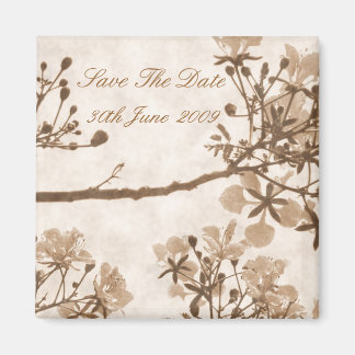 Aimant Bliss intemporels