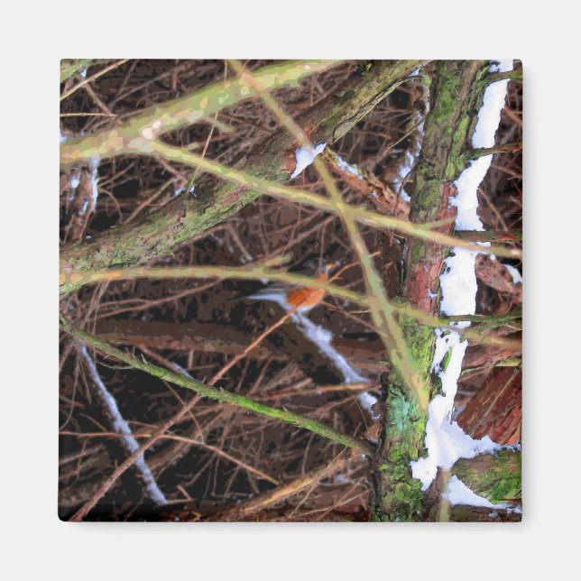 Aimant Blizzard Bird CB (Devant)