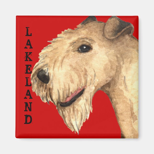 Aimant Bloc couleur Lakeland Terrier (Devant)