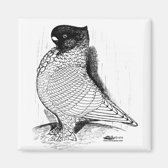 Aimant Blondinette Pigeon Laced 1978 (Devant)