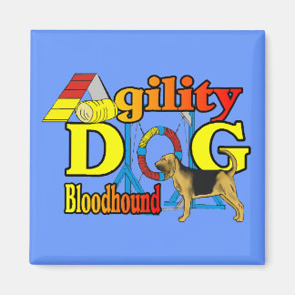 Aimant Bloodhound Agility Cadeaux