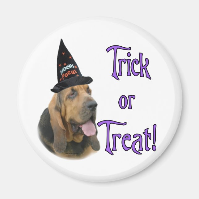 Aimant Bloodhound Trick (Devant)