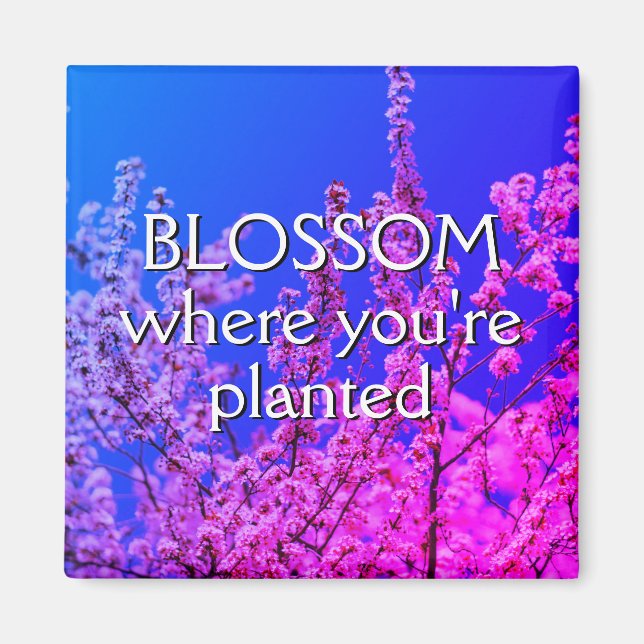 Aimant BLOSSOM OÙ VOUS ÊTES PLANTÉ Encouragement (Devant)