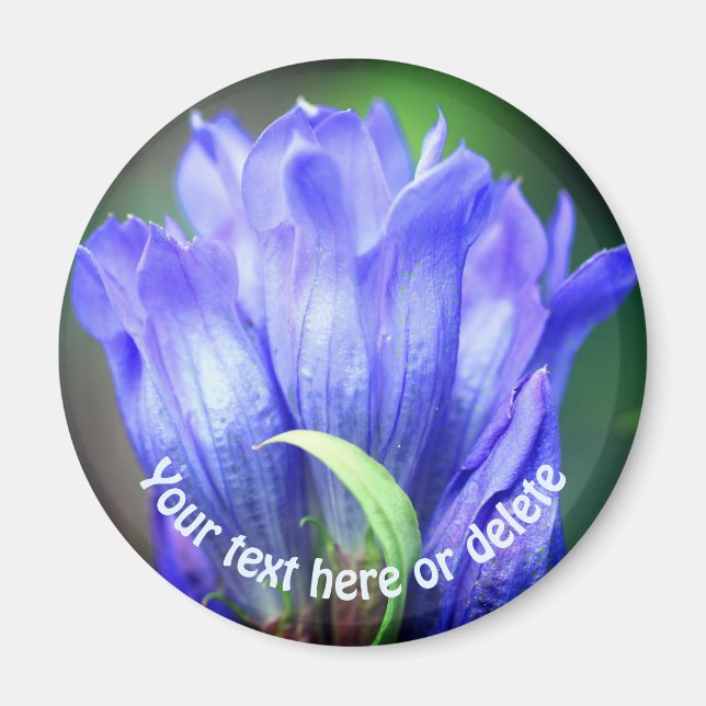 Aimant Blue Gentian Flower Personalized (Devant)
