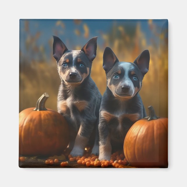 Aimant Blue Heeler Chiot Automne Citrouille de plaisir (Devant)