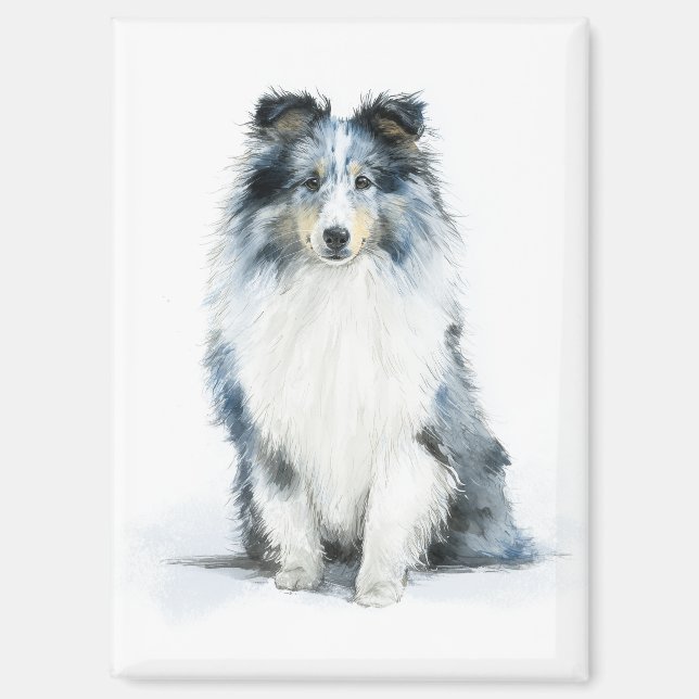 Aimant BLUE MERLE Shetland Sheepdog Watercolor Art (Recto)