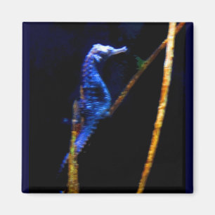 Aimant Blue Seahorse CB