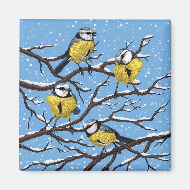 Aimant Blue tit birds en hiver (Devant)