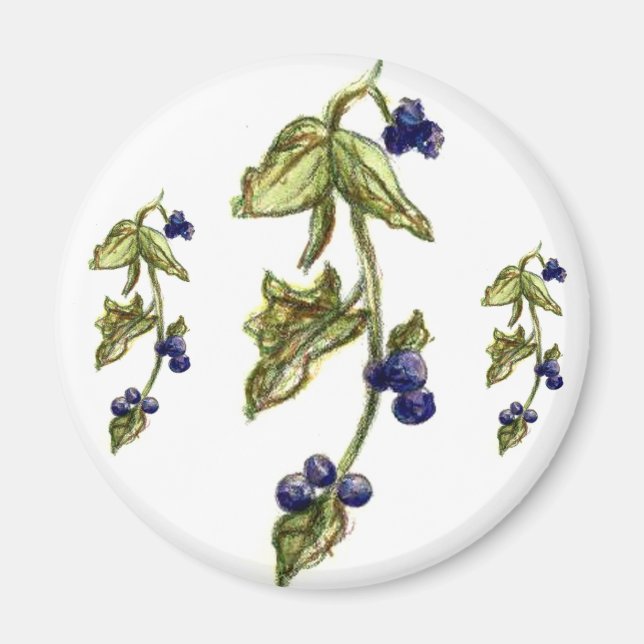 Aimant Blueberries sur l'aimant de la vigne (Devant)