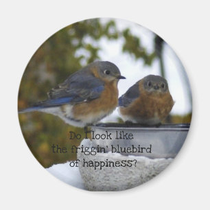 Aimant Bluebird of Happiness Comical