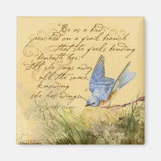 Aimant Bluebird sur Branch et Victor Hugo Citation
