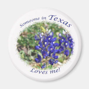 Aimant Bluebonnet Quelqu'un au Texas m'aime l'aimant